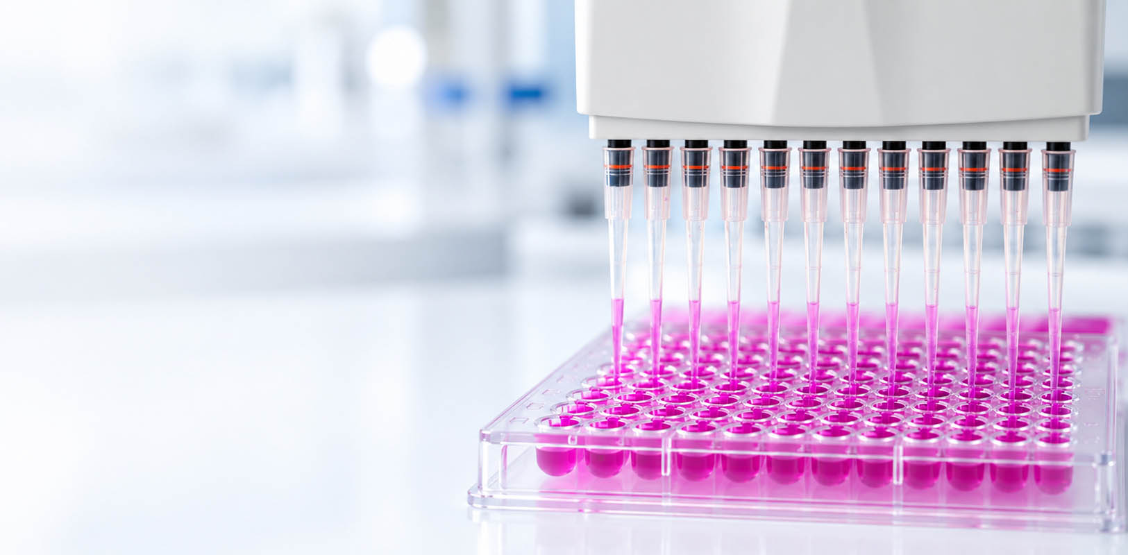 Automated Pipetting into Magenta Microplate